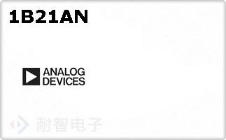 1B21AN