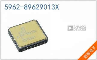 5962-89629013X