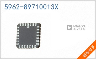 5962-89710013X