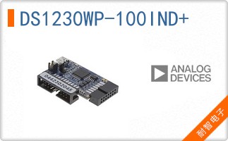 DS1230WP-100IND+