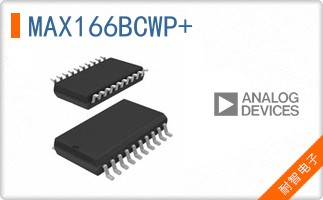 MAX166BCWP+