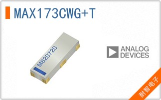 MAX173CWG+T