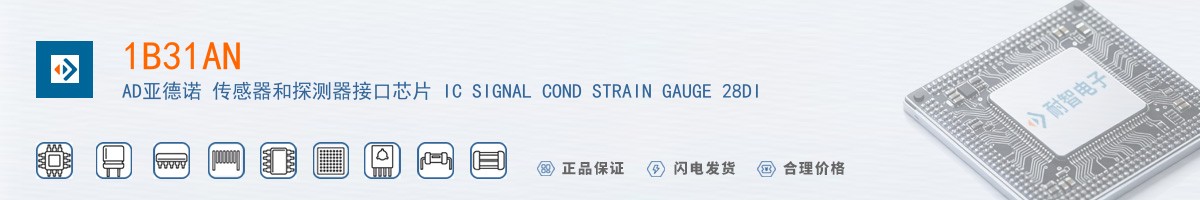 1B31AN������