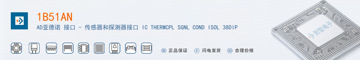 1B51AN������