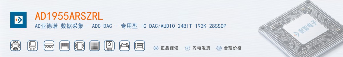 AD1955ARSZRL������