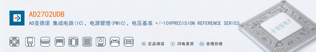 AD2702UDB������