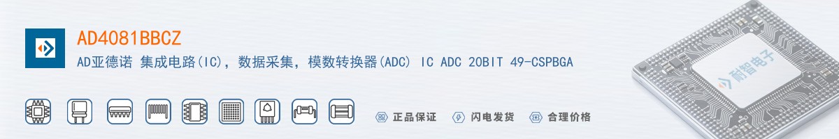 AD4081BBCZ������