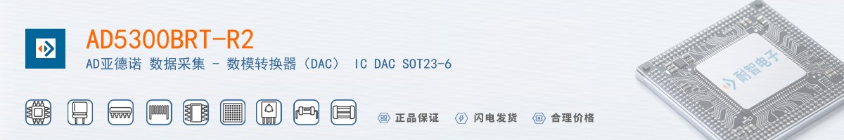 AD5300BRT-R2������