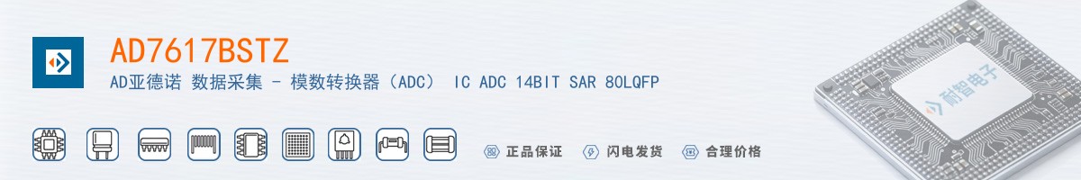 AD7617BSTZ������