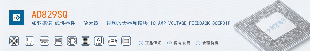 AD829SQ������