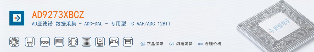 AD9273XBCZ������