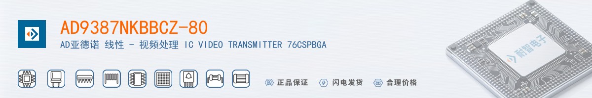 AD9387NKBBCZ-80������
