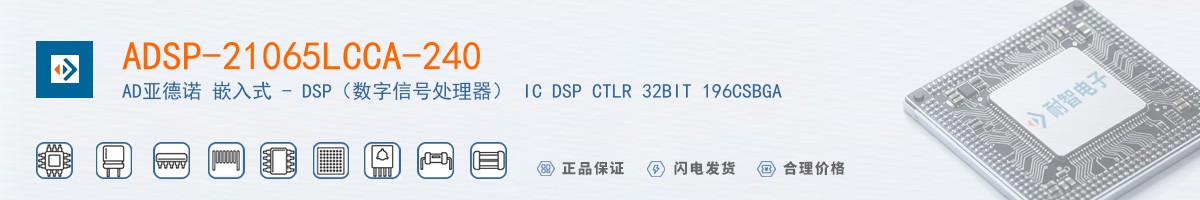 ADSP-21065LCCA-240������