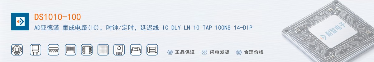 DS1010-100������