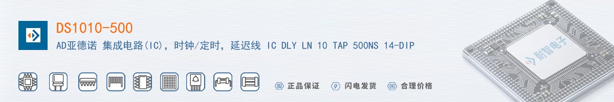 DS1010-500������