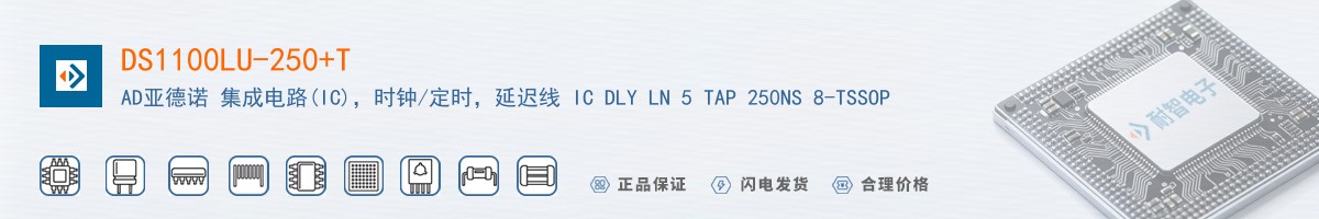 DS1100LU-250+T������