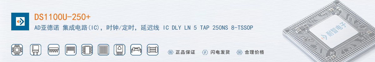 DS1100U-250+������