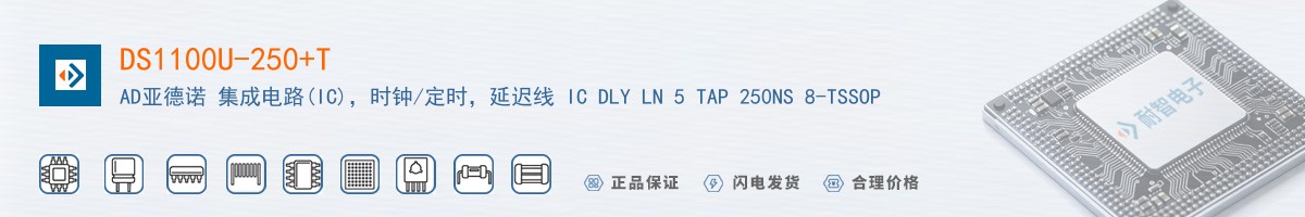 DS1100U-250+T������