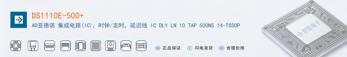 DS1110E-500+������