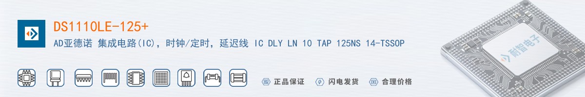 DS1110LE-125+������