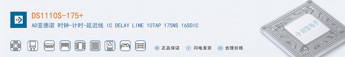 DS1110S-175+������