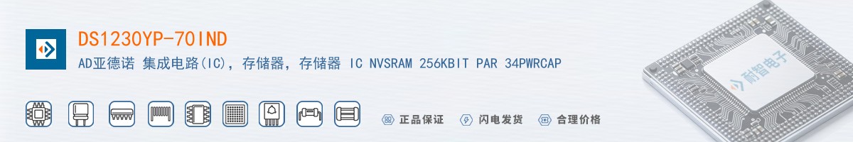 DS1230YP-70IND������