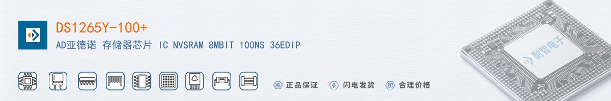 DS1265Y-100+������