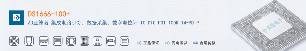 DS1666-100+������