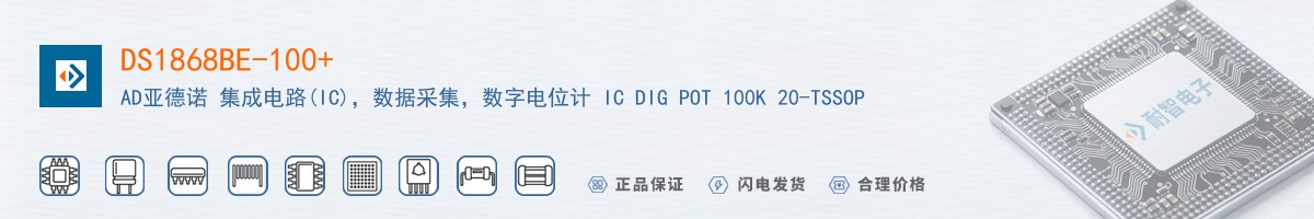 DS1868BE-100+������