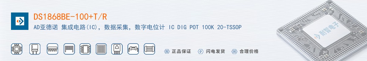 DS1868BE-100+T/R������
