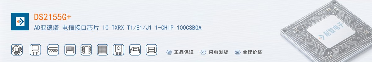 DS2155G+������