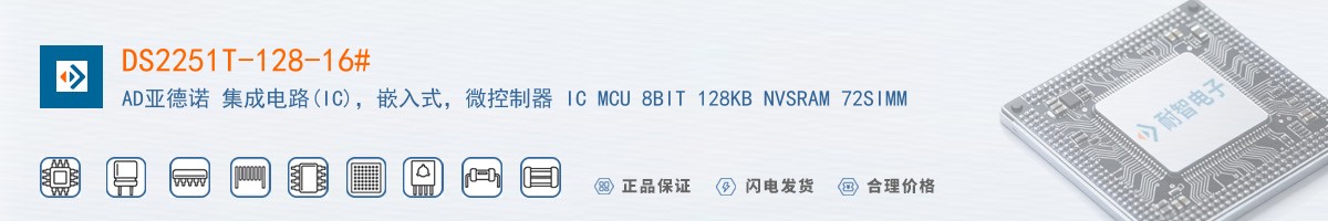DS2251T-128-16������