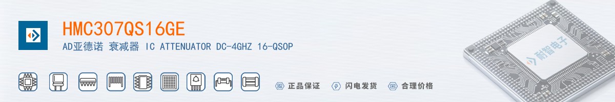 HMC307QS16GE������
