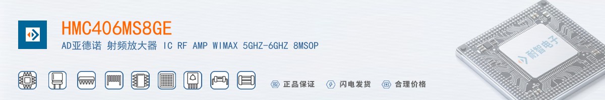 HMC406MS8GE������