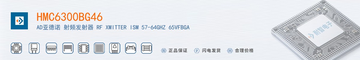 HMC6300BG46������