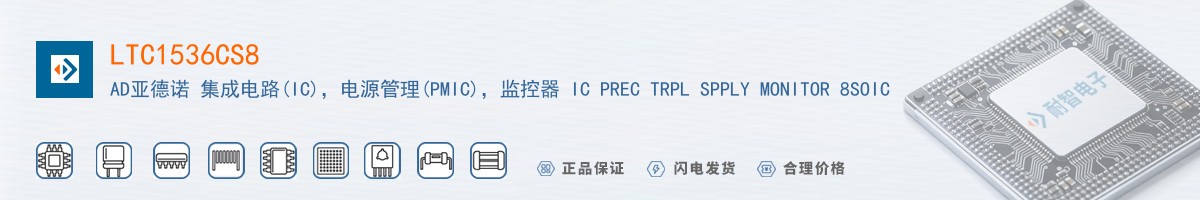LTC1536CS8������