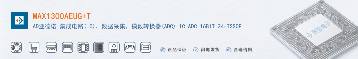 MAX1300AEUG+T������