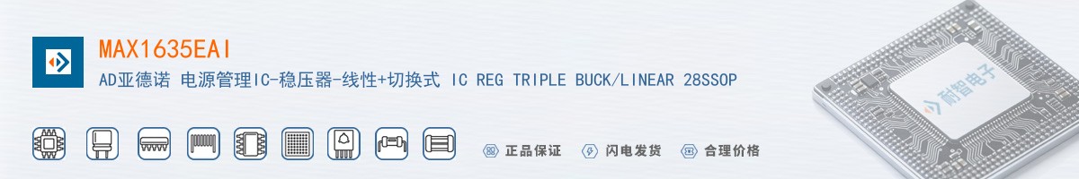 MAX1635EAI������