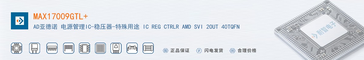 MAX17009GTL+������
