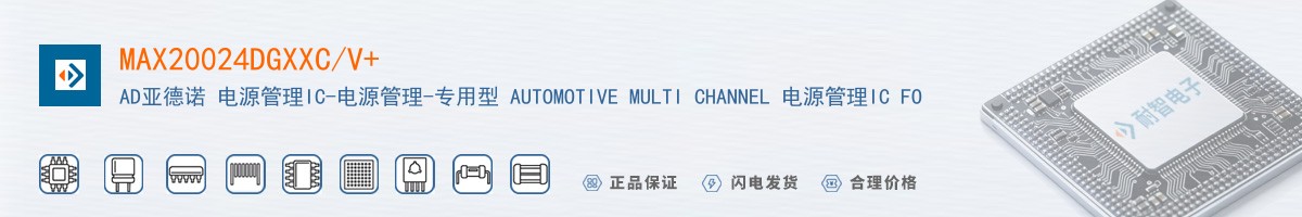 MAX20024DGXXC/V+������