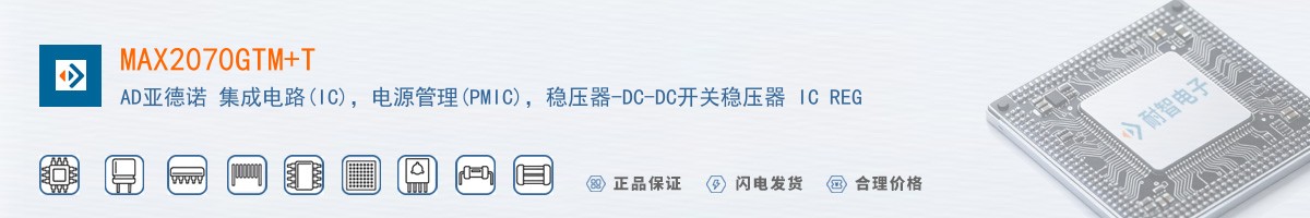 MAX2070GTM+T������