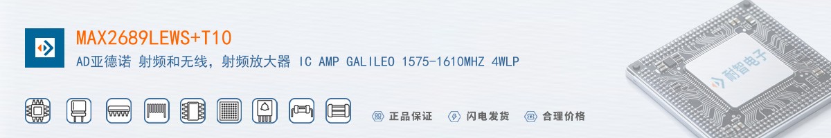 MAX2689LEWS+T10������