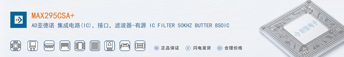 MAX295CSA+������