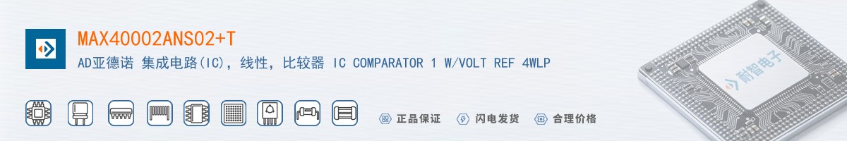 MAX40002ANS02+T������