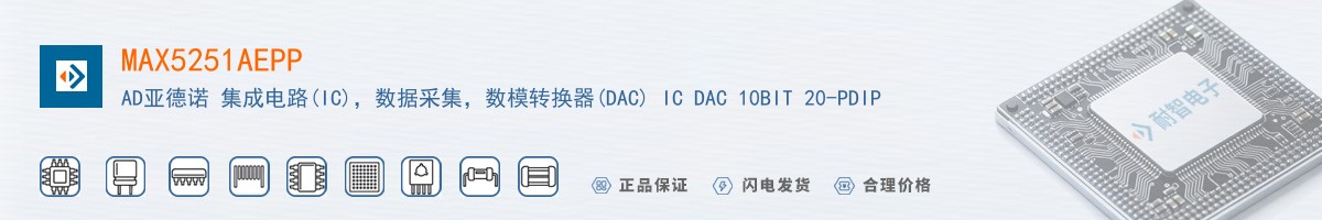 MAX5251AEPP������