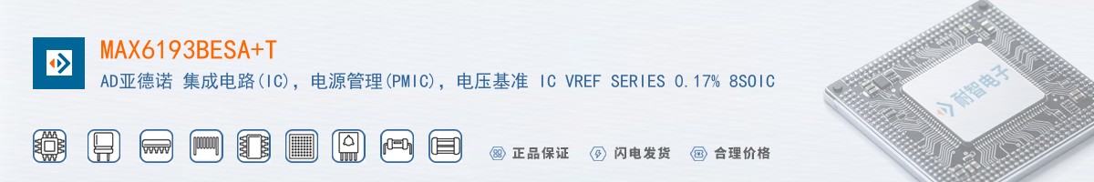 MAX6193BESA+T������