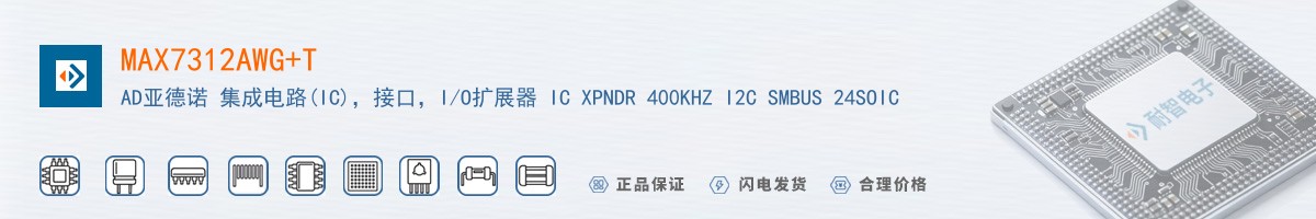MAX7312AWG+T������