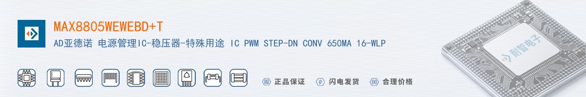 MAX8805WEWEBD+T������