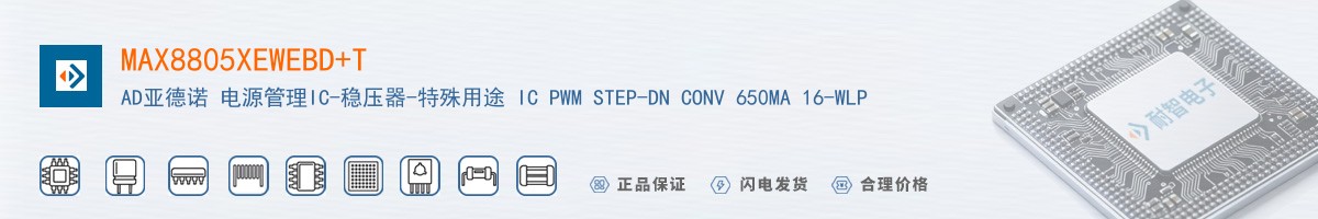 MAX8805XEWEBD+T������