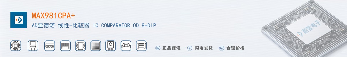 MAX981CPA������